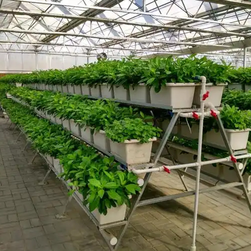 图木舒克市植物工厂玻璃大棚 - 一站式服务